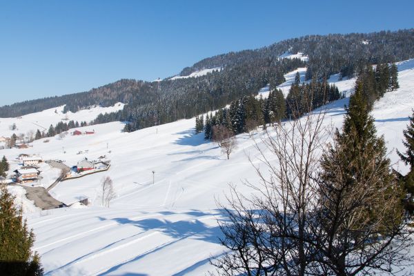 Hochlitten Gasthof (Riefensberg)